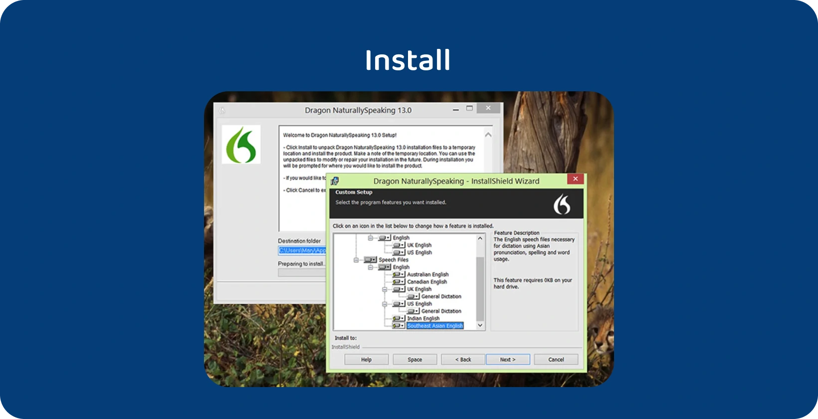Installation screen of Dragon NaturallySpeaking showing language options for transcribing interviews.